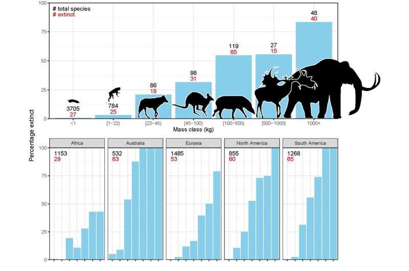 Evidence Mounts: Humans Responsible for Extinction of Large Mammals