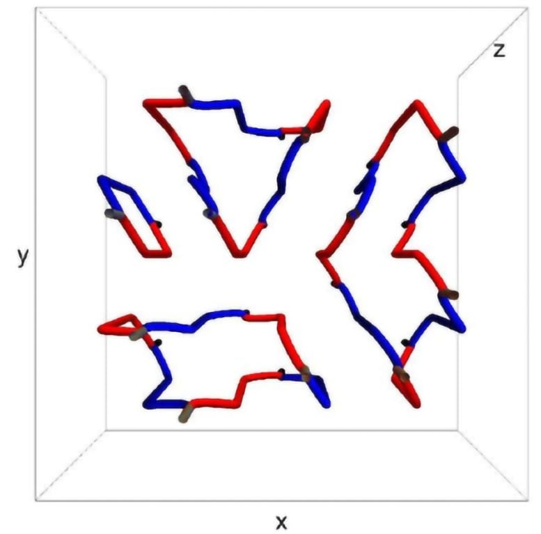 Top view 3D configuration of the quantum vortex network