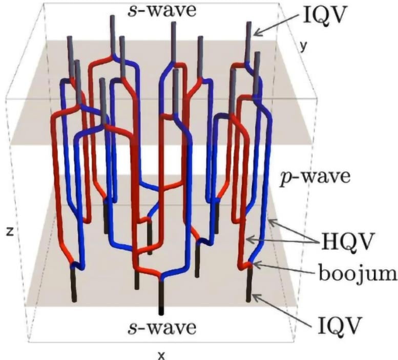 3D configuration of the quantum vortex network