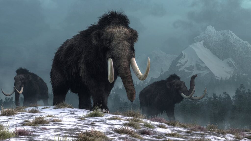 Scientists say freak event killed woolly mammoths
