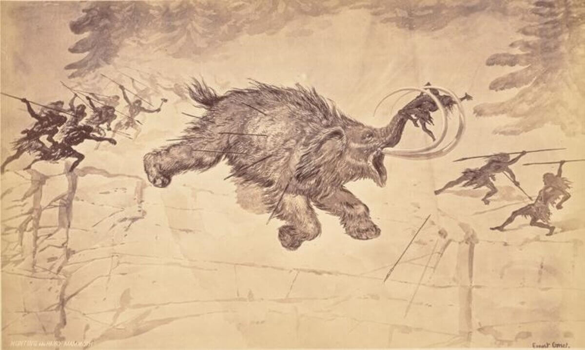 Hunting the hairy mammoth